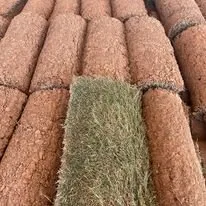 Top-rated landscape design experts serving Richardson, TX - EverTurf