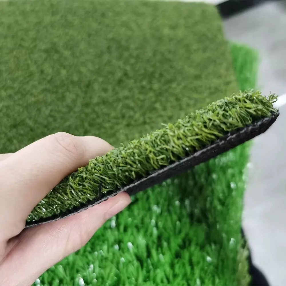 Professional lawn care service in San Jose, CA by EverTurf