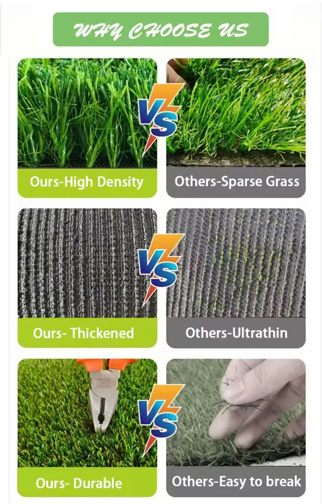 Reliable lawn care service in San Jose, CA by EverTurf