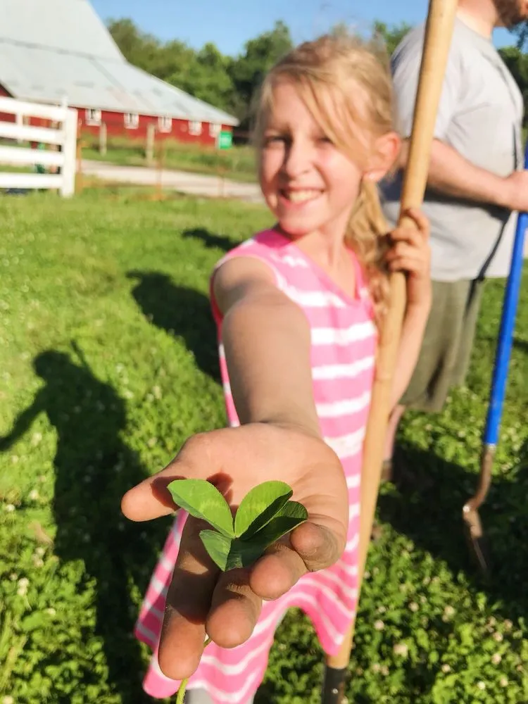 Professional residential landscaping in Blair, NE by Everwild Greenspaces