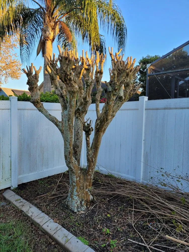 Professional landscape installation near you in Maitland, FL by EverWild Landscaping