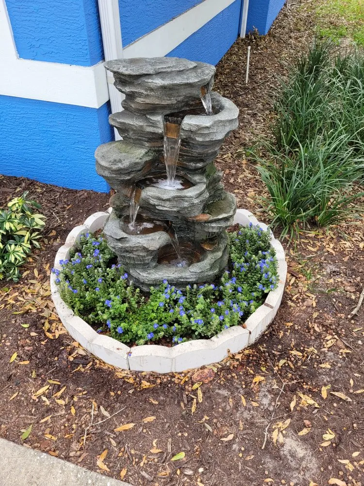 Trusted yard maintenance near you in Maitland, FL by EverWild Landscaping