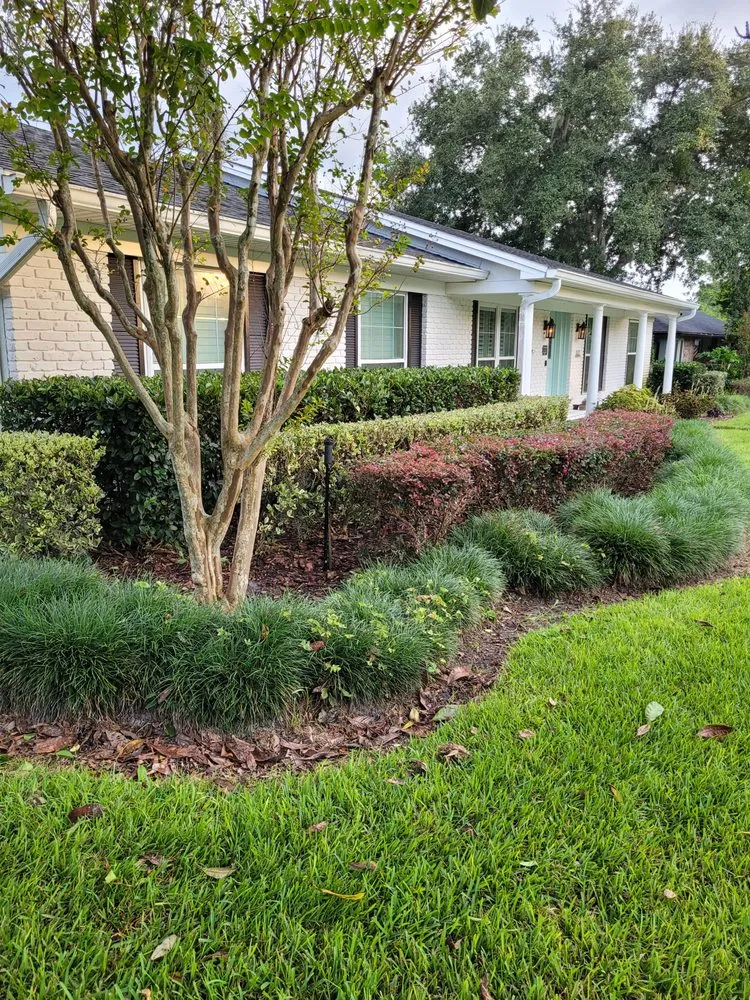 Local lawn care service for beautiful yards in Maitland, FL by EverWild Landscaping