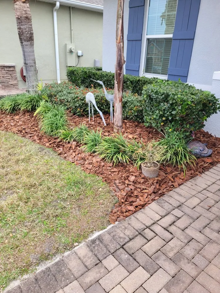 Top-rated garden landscaping in Maitland, FL - EverWild Landscaping