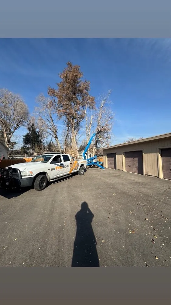 Trusted landscaping services for beautiful yards in Cottonwood Heights, UT by Everwork