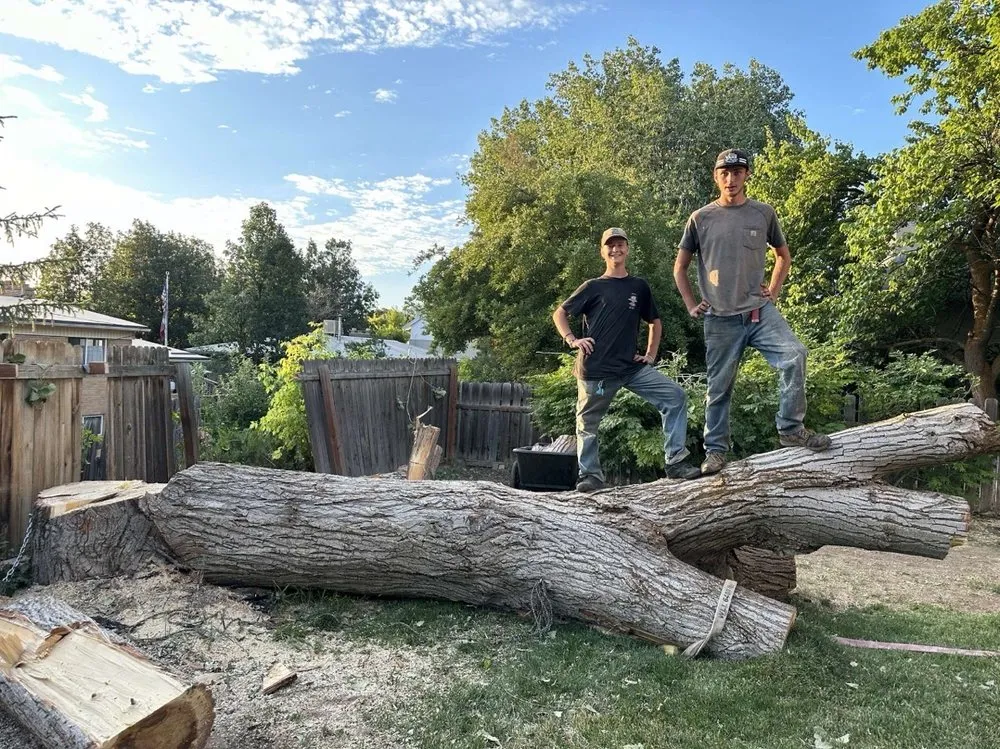 Expert residential landscaping with custom design across Cottonwood Heights, UT - Everwork