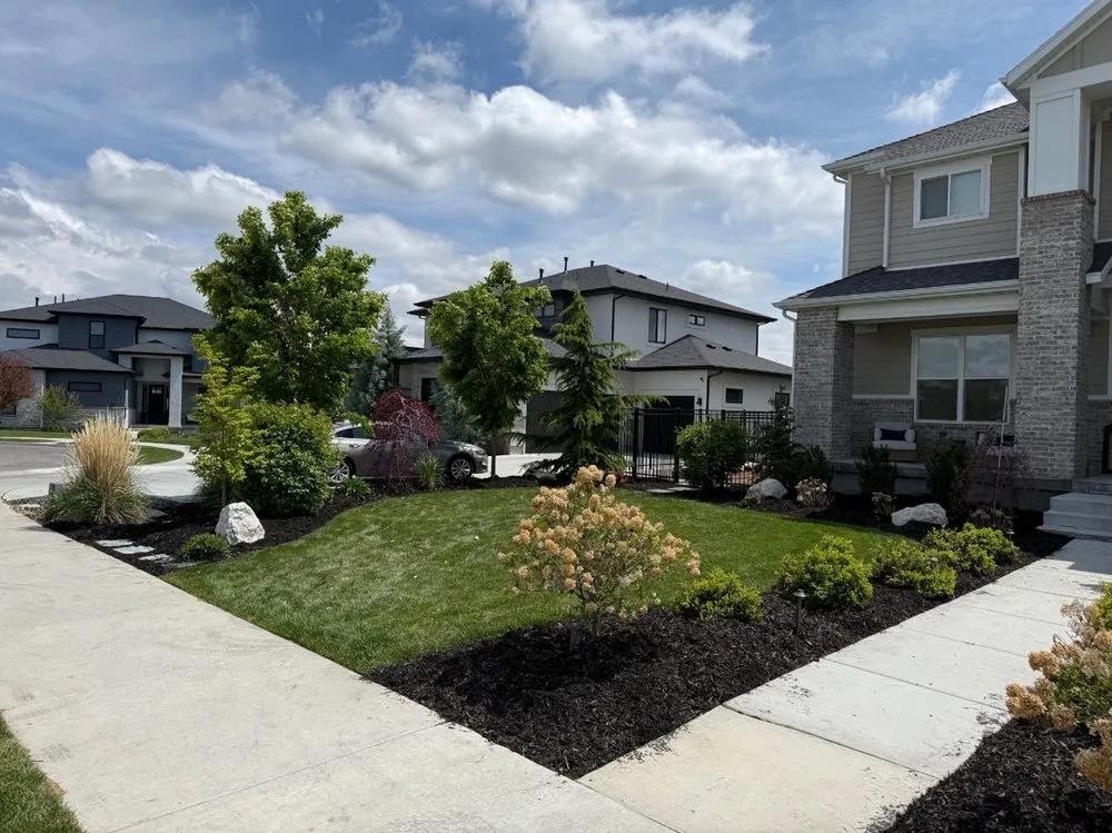 Affordable residential landscaping experts serving Cottonwood Heights, UT - Everwork