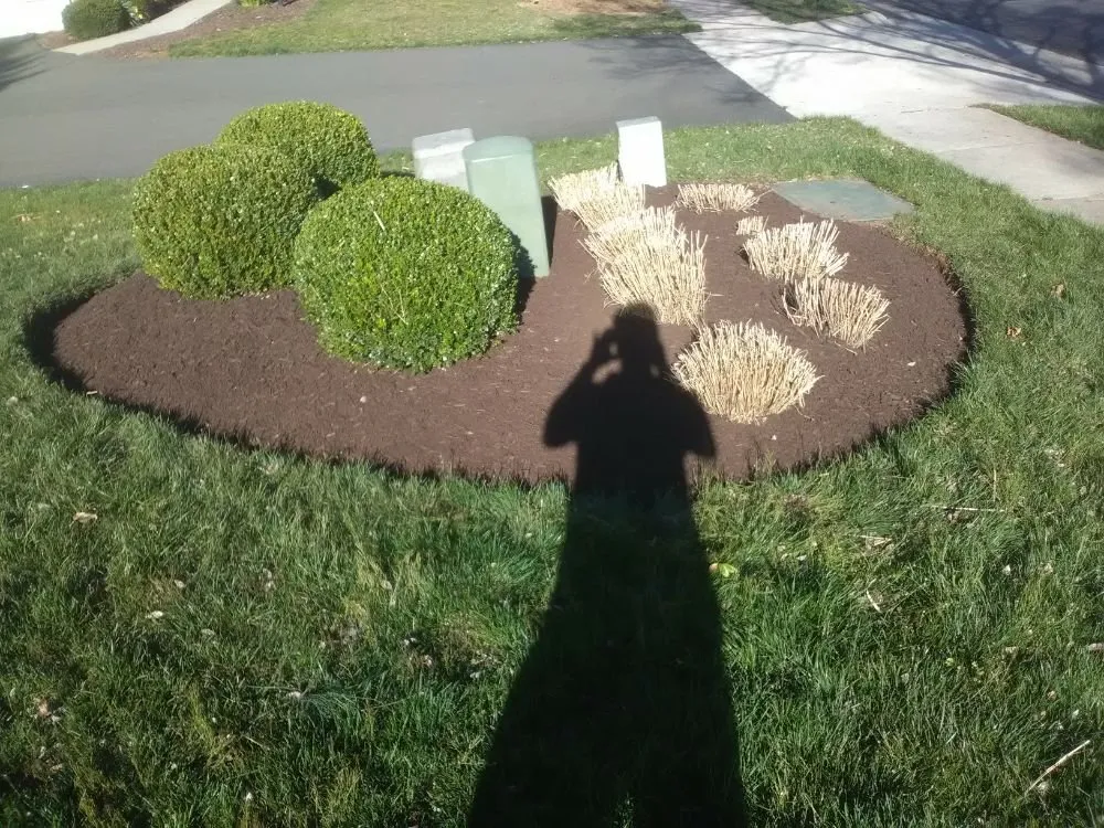 Local lawn mowing service experts serving Sudley Springs, VA - Every Blade Lawn Care
