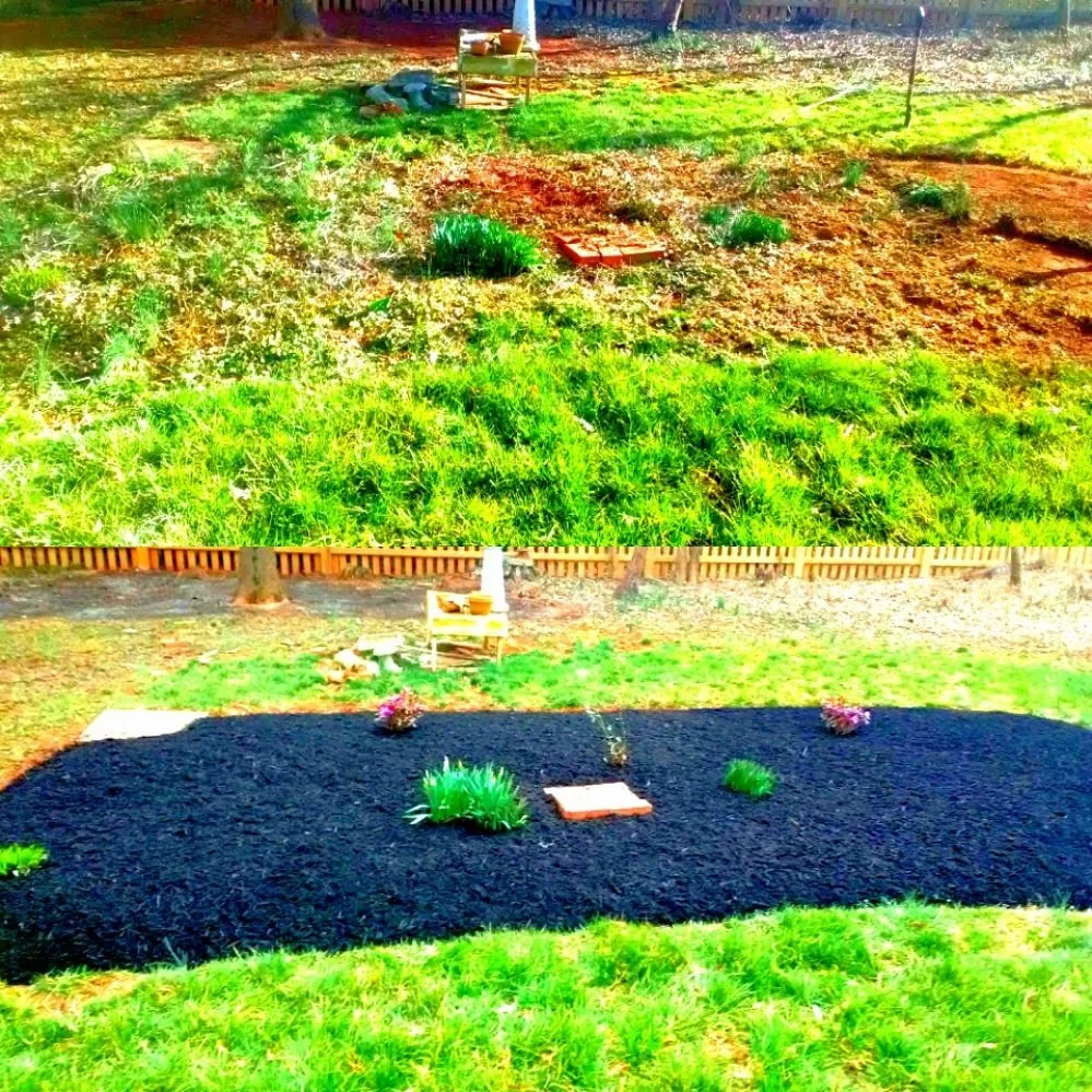 Top-rated yard maintenance for residential properties in Sudley Springs, VA by Every Blade Lawn Care