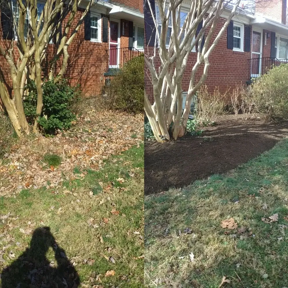 Reliable yard maintenance in Sudley Springs, VA by Every Blade Lawn Care
