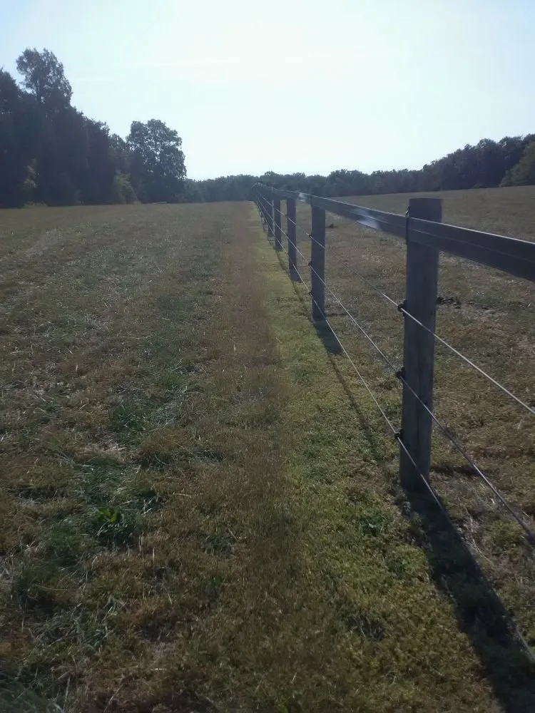 Top-rated landscaping services in Sudley Springs, VA - Every Blade Lawn Care