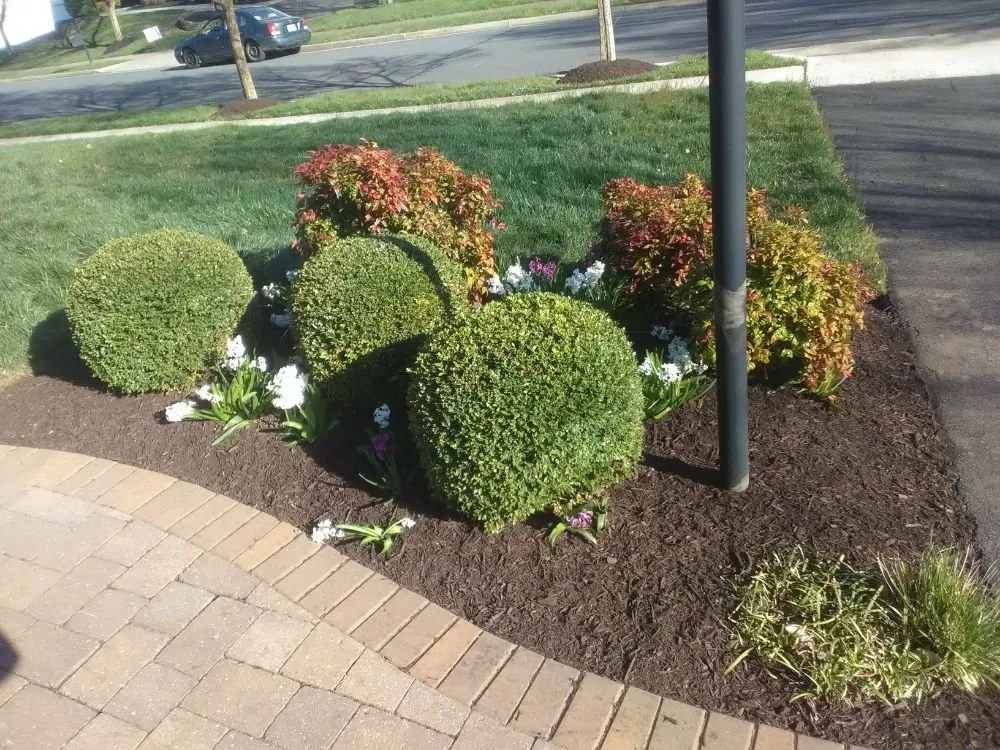Top-rated yard maintenance in Sudley Springs, VA - Every Blade Lawn Care