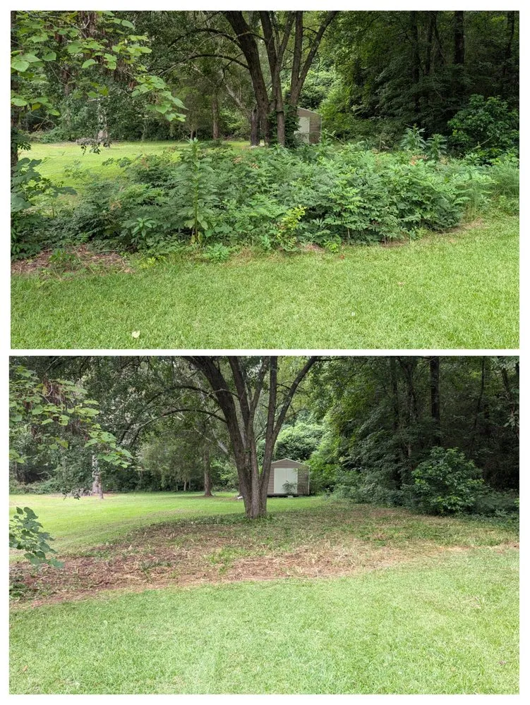 Affordable landscape design experts serving Winfield, AL - Every Blade Lawn Service