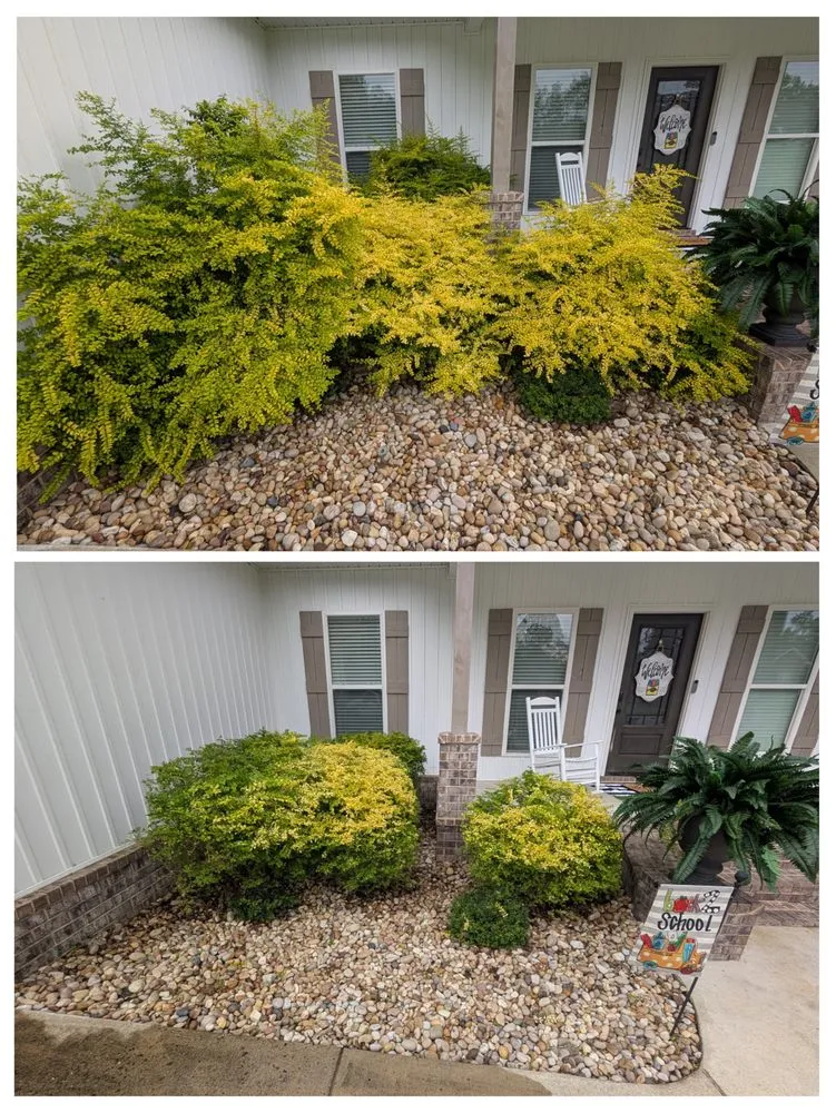 Affordable lawn care service for beautiful yards across Winfield, AL - Every Blade Lawn Service