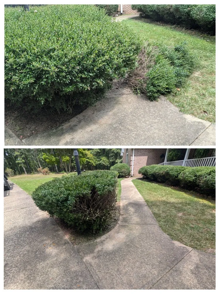 Trusted landscape installation in Winfield, AL - Every Blade Lawn Service