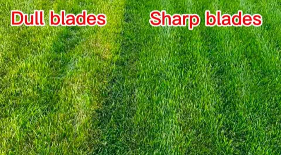 Local lawn mowing service in Winfield, AL by Every Blade Lawn Service