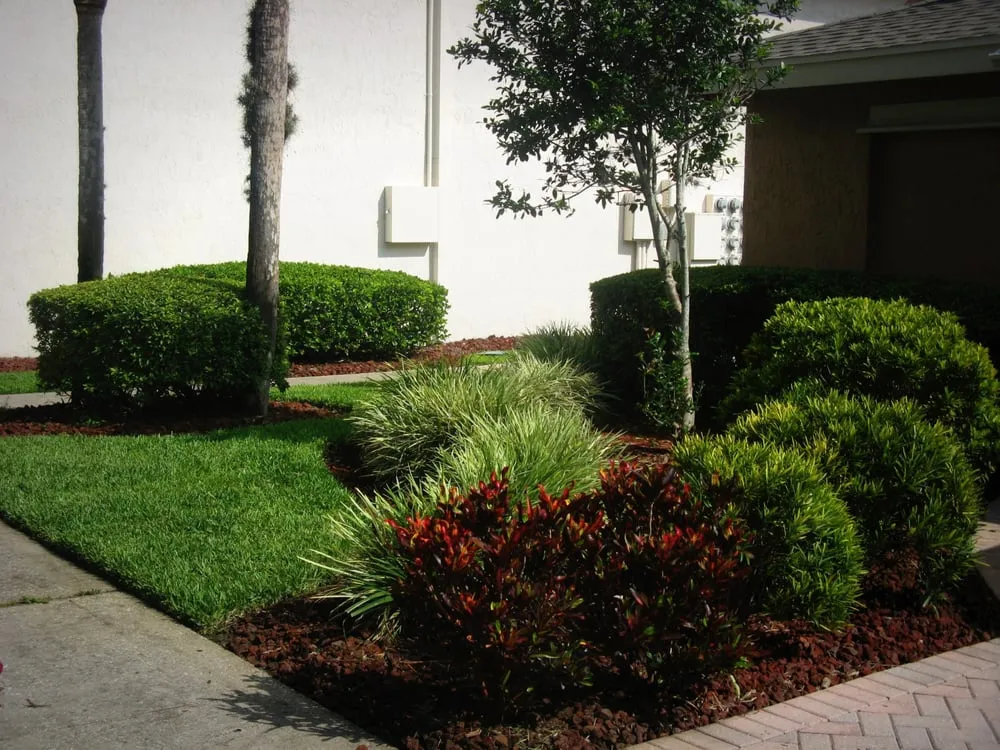 Reliable lawn mowing service in Orlando, FL by Every Green Care