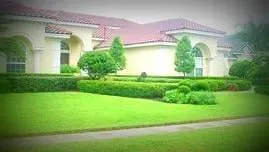 Trusted lawn mowing service in Orlando, FL by Every Green Care