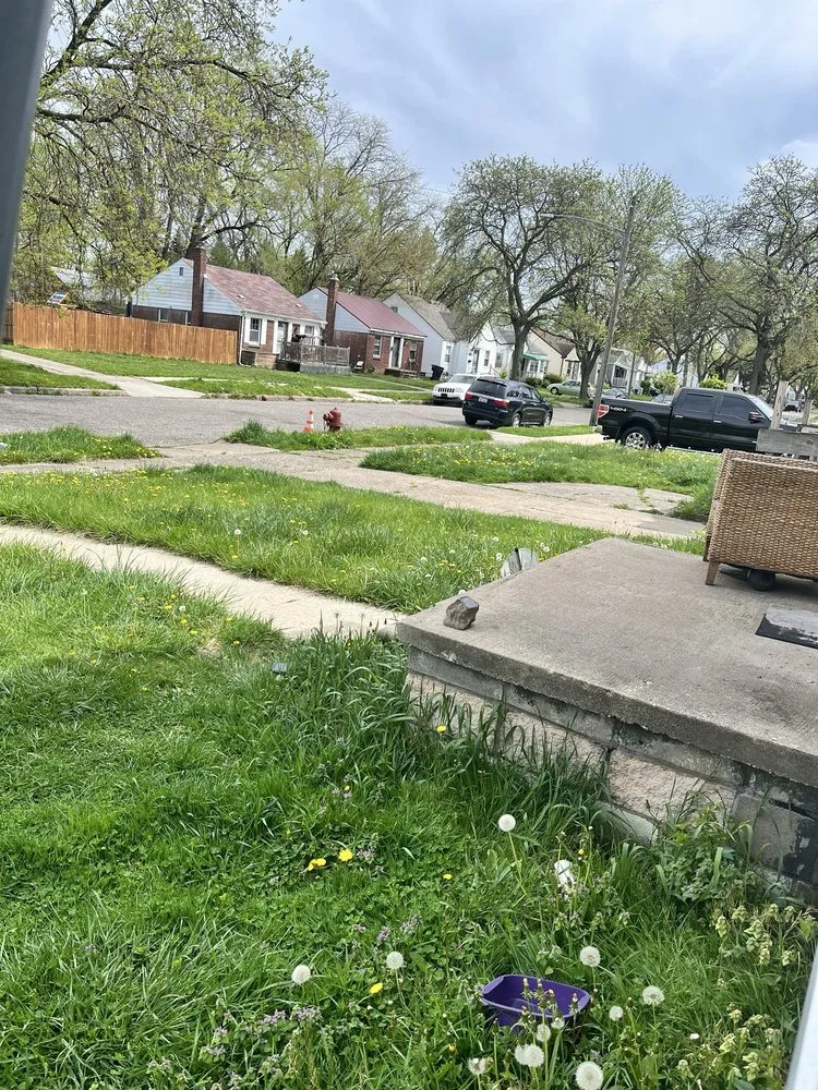 Custom lawn mowing service in Grand Rapids, MI - Every Oasis Lawn Care