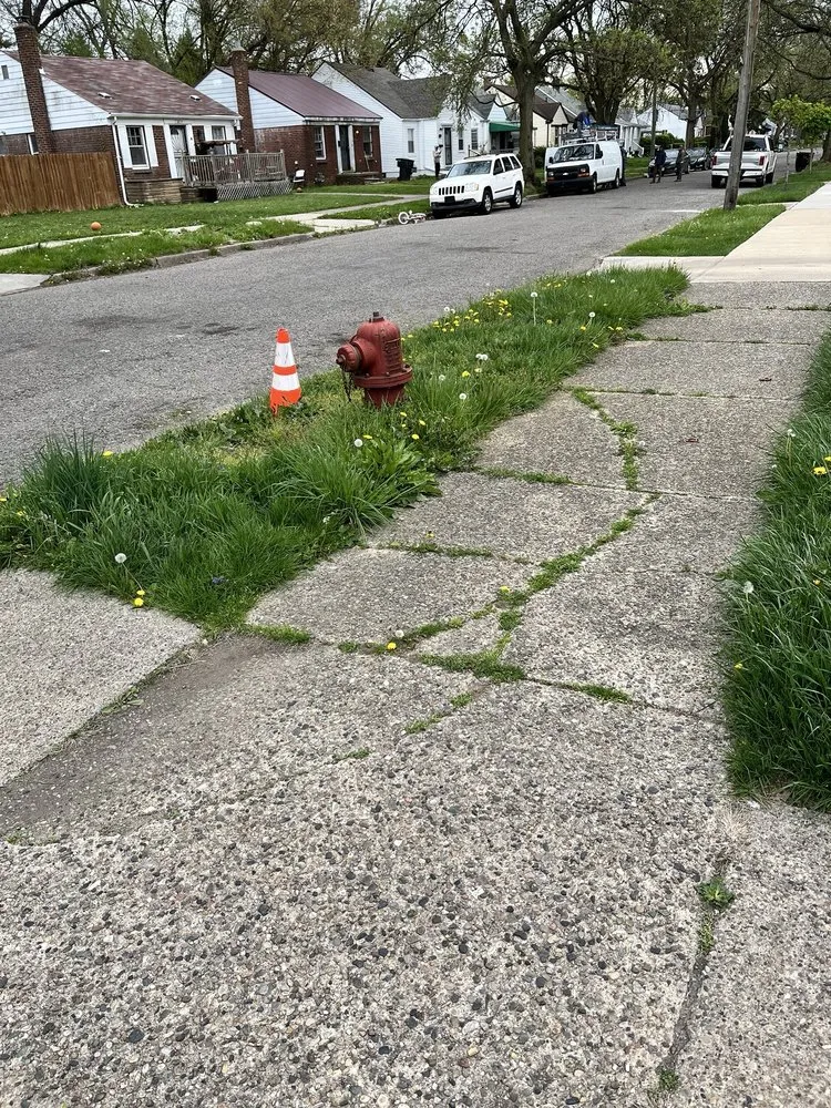 Custom yard cleanup service for year-round maintenance across Grand Rapids, MI - Every Oasis Lawn Care