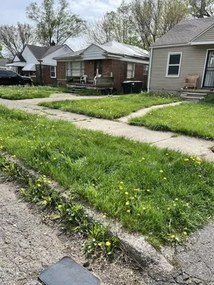 Every Oasis Lawn Care Logo