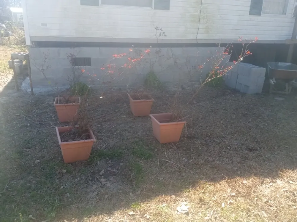 Reliable garden landscaping in Hephzibah, GA by Every Project Residential