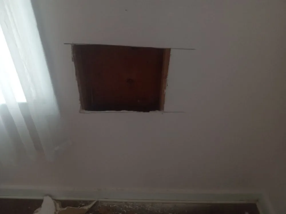 Top-rated landscape installation in Hephzibah, GA by Every Project Residential