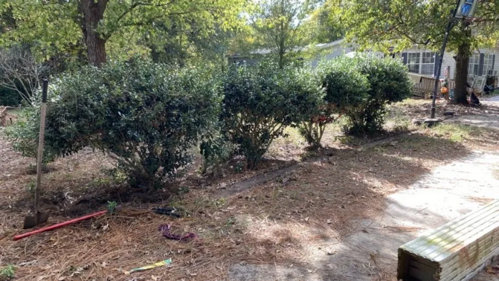 Expert landscaping services in Hephzibah, GA by Every Project Residential