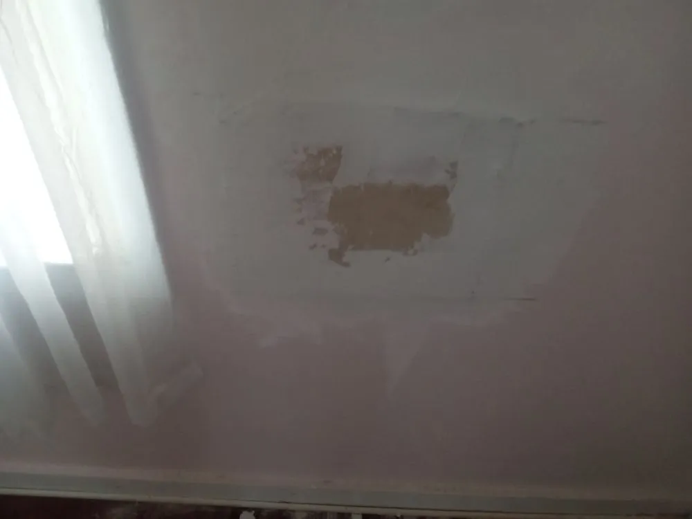 Expert residential landscaping for homes in Hephzibah, GA by Every Project Residential