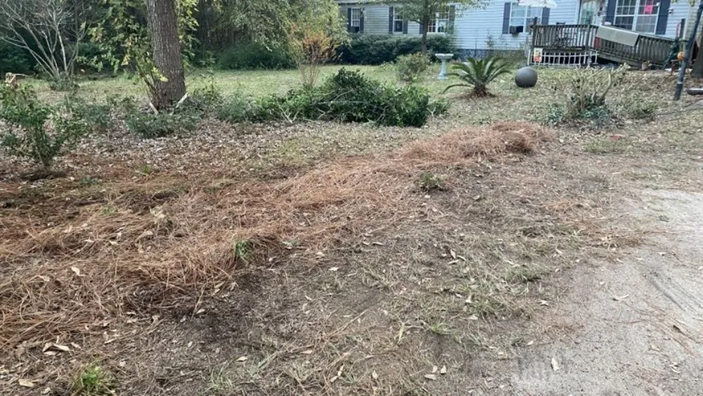 Local landscaping services for homes across Hephzibah, GA - Every Project Residential