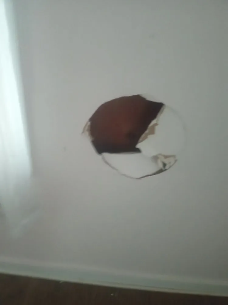 Reliable lawn care service experts serving Hephzibah, GA - Every Project Residential