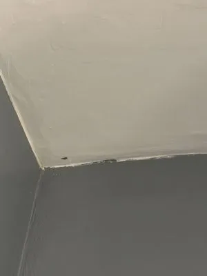 Every Project Residential