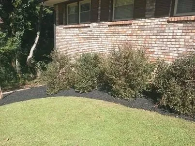 Trusted lawn mowing service in Belleville, MI - Every Season