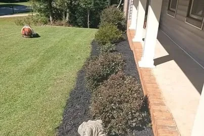 Local yard maintenance in Belleville, MI - Every Season