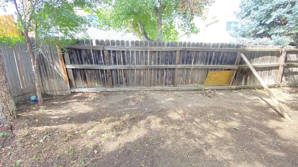 Top-rated yard cleanup service for year-round maintenance across Aurora, CO - Every Season Landscaping