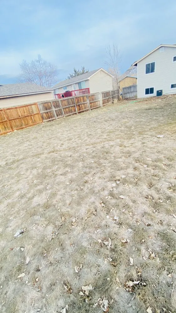 Top-rated yard maintenance in Aurora, CO by Every Season Landscaping