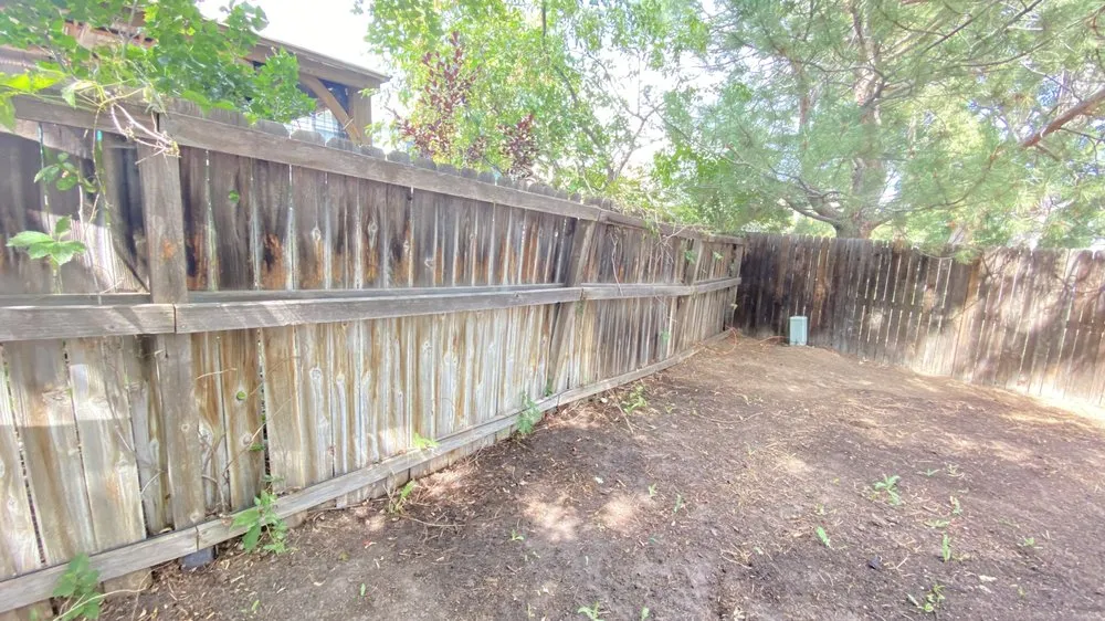 Professional yard cleanup service for year-round maintenance in Aurora, CO by Every Season Landscaping