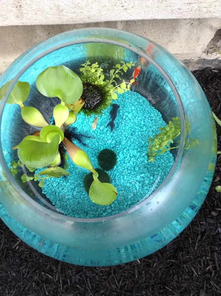 Trusted yard cleanup service for beautiful yards across Mckeesport, PA - Every Season Lawn Care & Landscaping