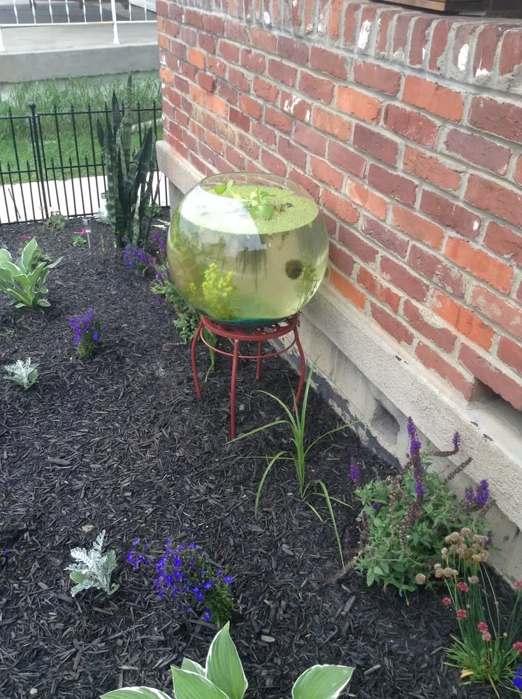 Top-rated residential landscaping experts serving Mckeesport, PA - Every Season Lawn Care & Landscaping