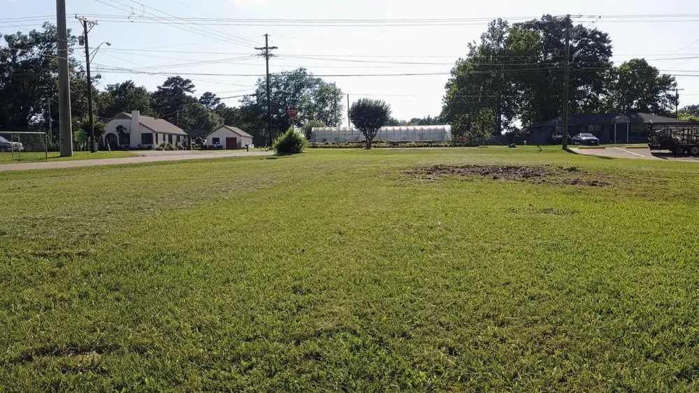 Reliable outdoor landscaping in Longview, TX by Every Season Lawn Service