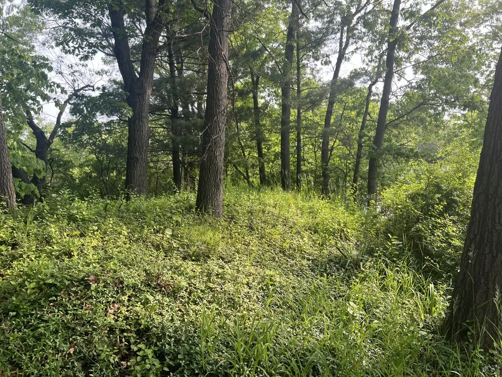 Trusted yard cleanup service experts serving Merrillville, IN - Every Season