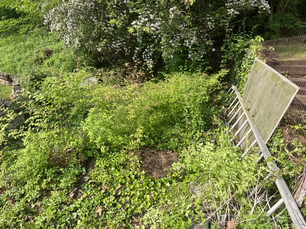 Custom lawn care service experts serving Merrillville, IN - Every Season