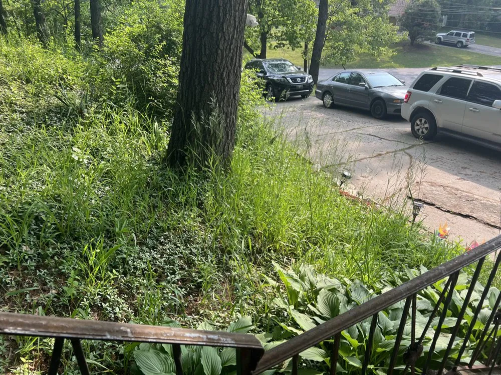 Trusted landscaping services for beautiful yards across Merrillville, IN - Every Season