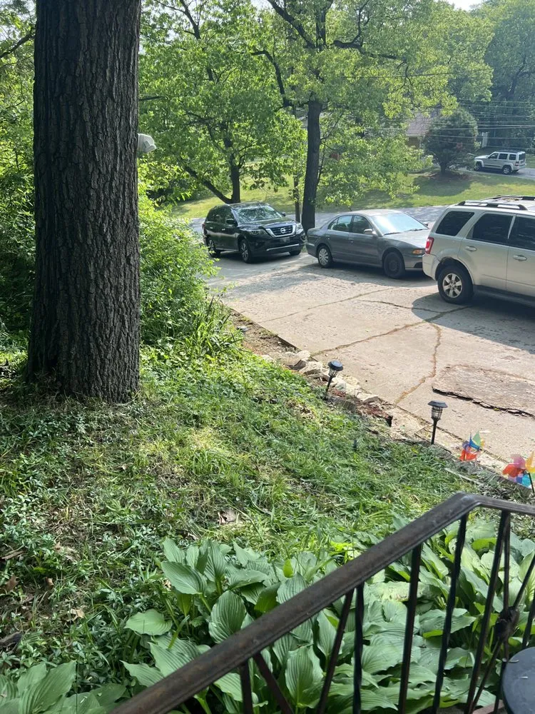 Trusted lawn care service in Merrillville, IN by Every Season