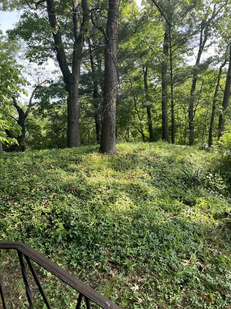 Trusted lawn care service in Merrillville, IN by Every Season