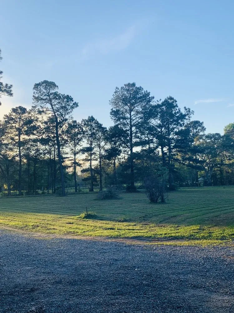 Affordable garden landscaping in Slidell, LA - Everybody Loves Raymond’s Lawn Care