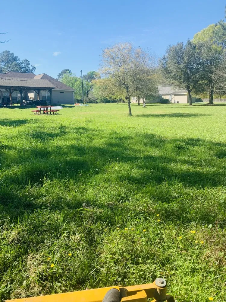 Trusted landscaping services in Slidell, LA - Everybody Loves Raymond’s Lawn Care