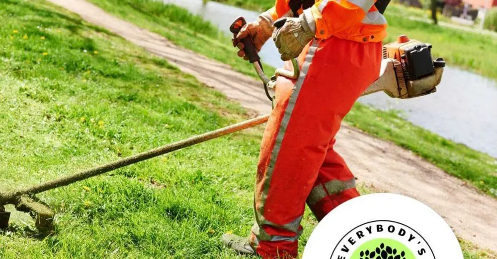 Top-rated lawn mowing service in Sitka, AK - Everybody's landscaping