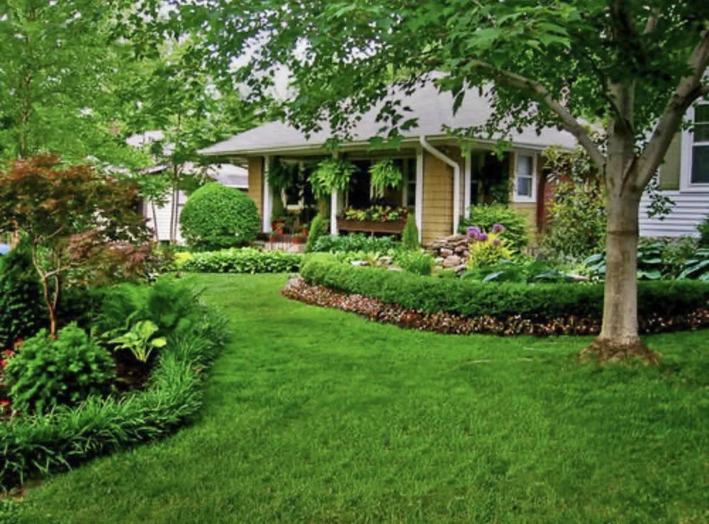 Top-rated lawn care service in Winter Haven, FL - Everyday Home Maintenance