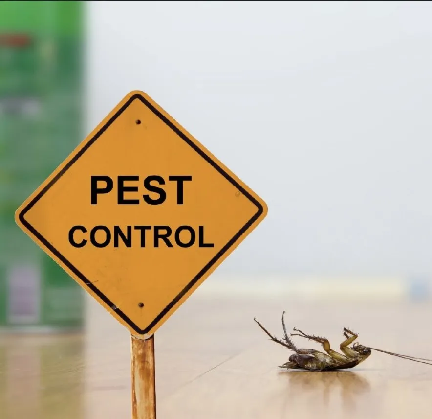 Reliable lawn care service with custom design across Winter Haven, FL - Everyday Home Maintenance